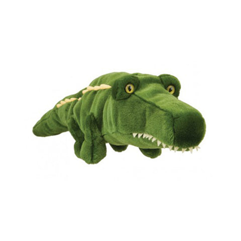 Alligator