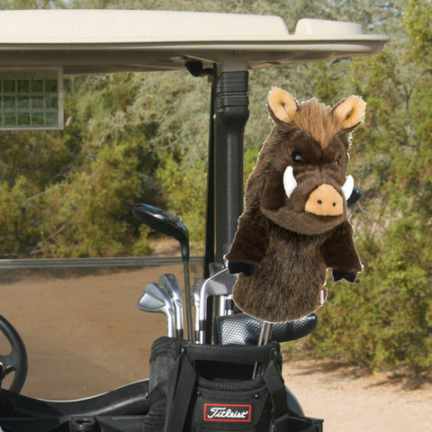 Boar